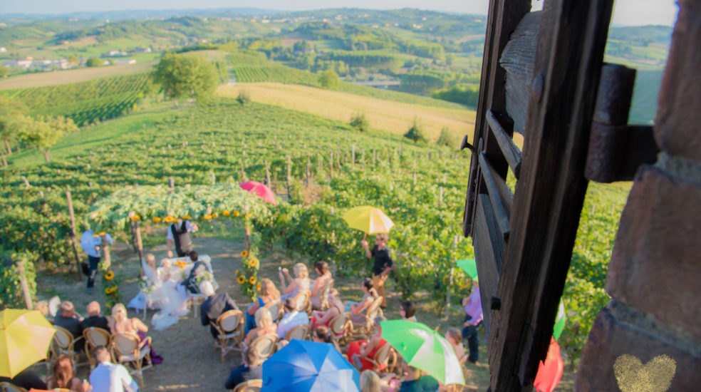 Vogelperspektive im Weinberg